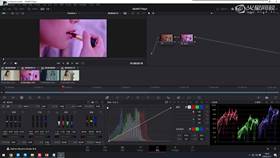 3.5 DaVinci软件基础03