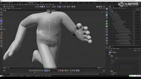 1.3 fbx导入C4D刷权重