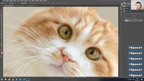 1.3 PS软件基础02