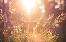 VRay基础必学-灯光篇