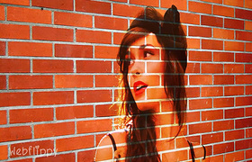 将照片转换成砖墙的肖像