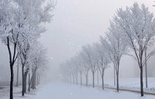 雪