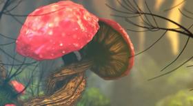 Blender--蘑菇森林