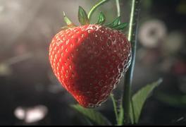 CG短片欣赏--意想不到的草莓