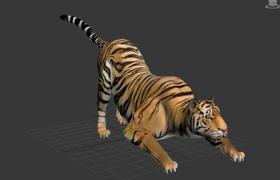 电影中的动物绑定解析