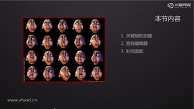 关键帧的创建,曲线编辑器,时间面板