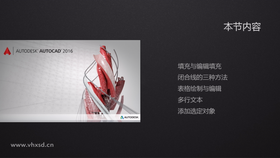 填充与编辑填充
闭合线的三种方法
表格绘制与编辑
多行文本
添加选定对象