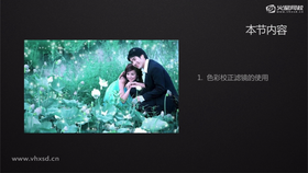 色彩校正滤镜的使用