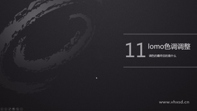 主要讲解:通过案例讲解如何调整Lomo效果