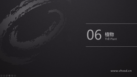 默认植物创建
植物类型选择
树干树叶设置