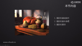 摄影机基础操作
摄影机基本参数
摄像机景深