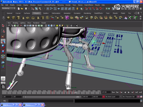 了解黄蜂空中降落爬行及注意事项