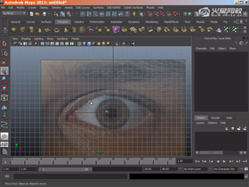 使用多边形建模工具建模型