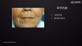 结构收尾,眉毛胡子制作。