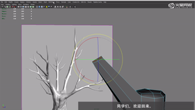 树干制作,不规则物体的连续挤压技巧讲解