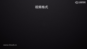 了解EDIUS支持的视频格式及其应用领域