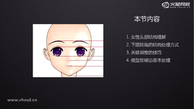 1.女性头部结构理解 2.下颌转角的结构处理方式 3.关联调整的技巧 4.模型软硬边基础处理