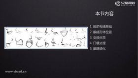1.脸的布线基础 2.眼睛形体位置 3.变换材质 4.口缝处理 5.眼眶细化