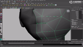 1.脸的布线基础 2.眼睛形体位置 3.变换材质 4.口缝处理 5.眼眶细化