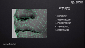 1.脸结构细化 2.环行线结构讲解 3.内眼角结构固定 4.耳根结构细化5.唇线结构讲解