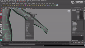 1.臀部布线整理 2.手腕的阶梯状结构 3.腹股沟布线调整 4.服装轮廓讲解 5.乱不布线整理