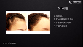 发际线与头发的关系01