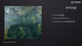Forest的用途
在max中打开Forest
Forest在max中的其他位置