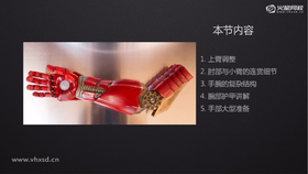 上臂调整、肘部与小臂的连贯细节、手腕的复杂结构