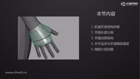 机械手掌结构讲解、手指长度比例、手指剖面结构