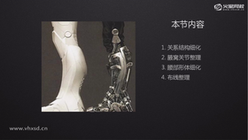 关系结构细化、腋窝关节整理