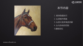 1.模块隐藏技巧 2头部制作思路 3.头部大型多角度讲解  4.头与身体的切割  5.眼睛定位