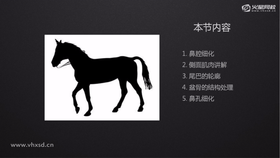 鼻腔细化、侧面肌肉讲解、尾巴的轮廓、盆骨的结构处理、鼻孔细化