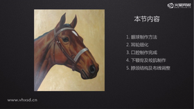 眼球制作方法、耳轮细化、口腔制作完成、下颚骨及咬肌制作、脖颈结构及布线调整