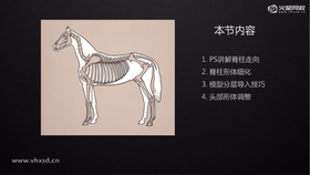 大关节讲解