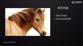 1.鬃毛外形制作 2.尾部布线走线调整