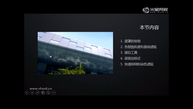 遮罩的绘制,色相饱和度和曲线滤镜,跟踪工具,层叠加模式,快速模糊和染色滤镜