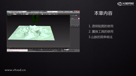 特异模型
