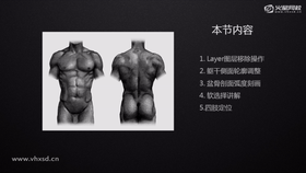 低模布线整理