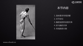 身体大型整理