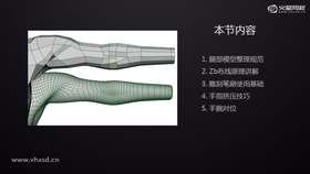 胳膊、腿部低模制作