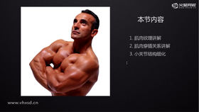 肌肉叠加处理,质感讲解