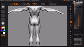 皮肤与褶皱的关系