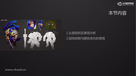 头部结构及表现分析