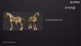 头部结构塑造与分析