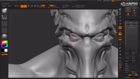 头部结构塑造与分析