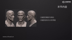 胸腔的雕刻与细化