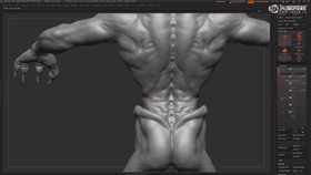 胸腔塑造与雕刻思路