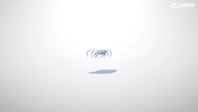 皮肤材质