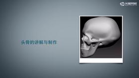 讲解Maya+ZBrush头部解剖模型制作讲解课程介绍
