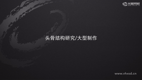 头骨大型分析
头部基础模型设置
Smooth命令讲解
镜像复制技巧